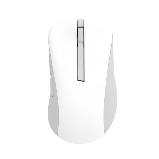 ASUS Wireless Mouse MD102 mouse-uri Universală Mâna dreaptă RF Wireless + Bluetooth Optice 1600 DPI