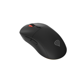 GENESIS Zircon XIII mouse