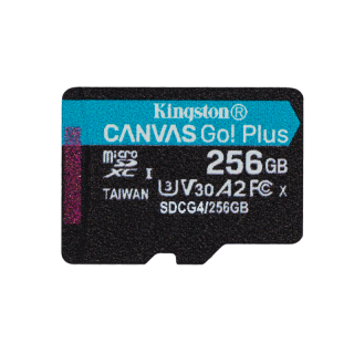 256GB microSDXC Canvas Go Plus Gen4 200R