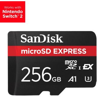 MICROSDXC 256GB CL10 EXTREME PRO