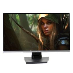 EIZO Flexscan EV2450, 23.8" IPS, 1920x1080 FHD, monitor refurbished