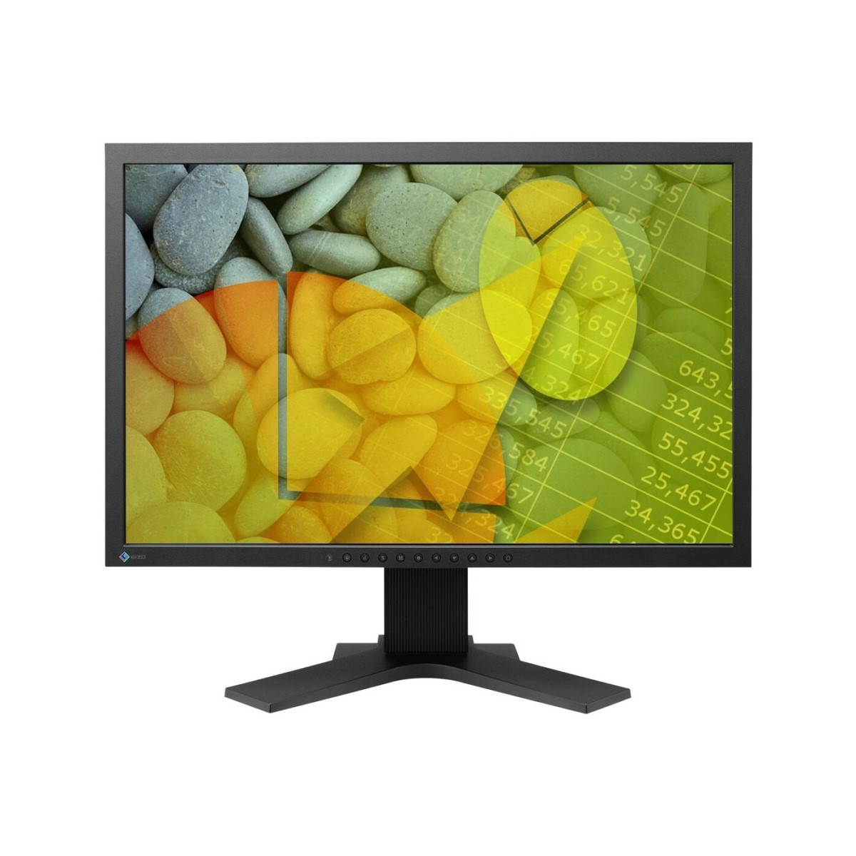 EIZO FlexScan S2202W  22 inch LCD  1680 x 1050  16:10  negru  monitor refurbished