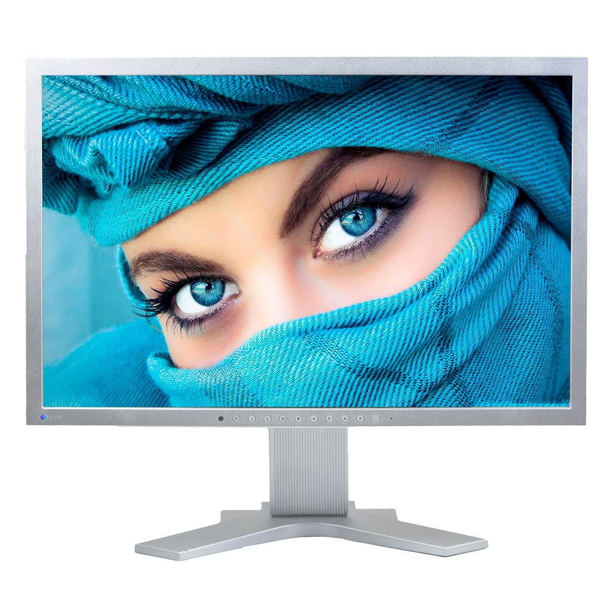 EIZO FlexScan S2202W  22 inch LCD  1680 x 1050  16:10  negru - argintiu  monitor refurbished
